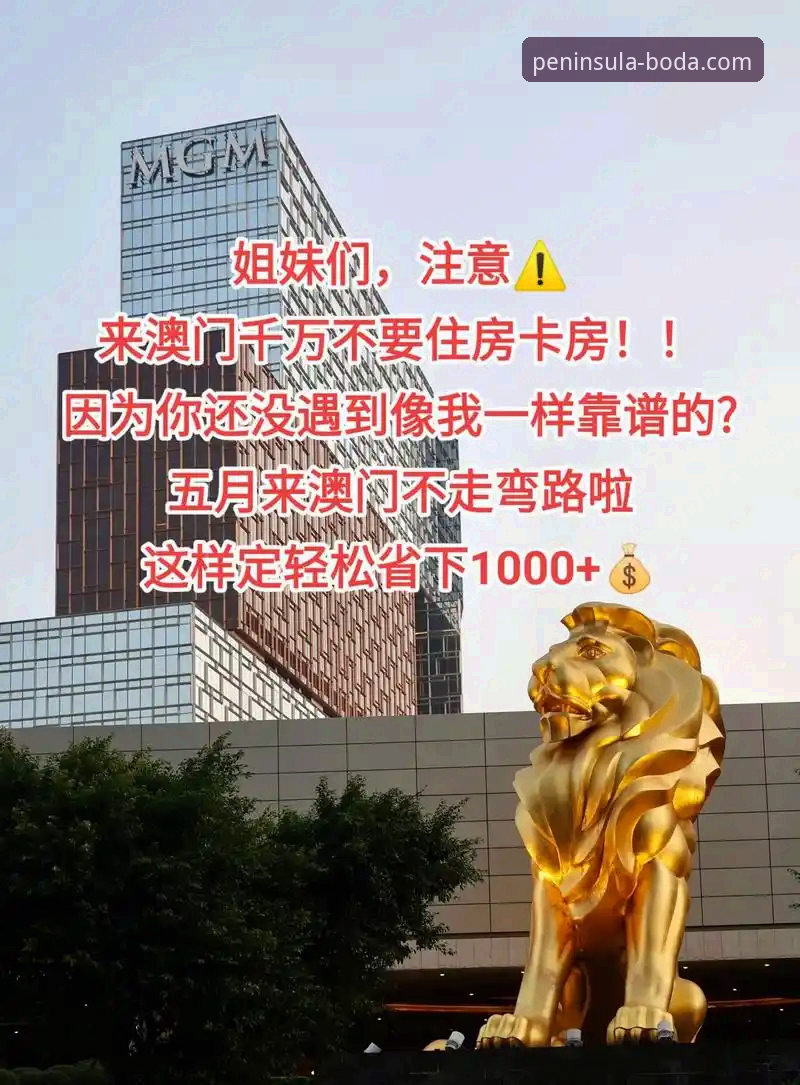 半岛体育直播软件怎么样 半岛体育直播软件深度分析:从版本更新到实战体验的全面解析